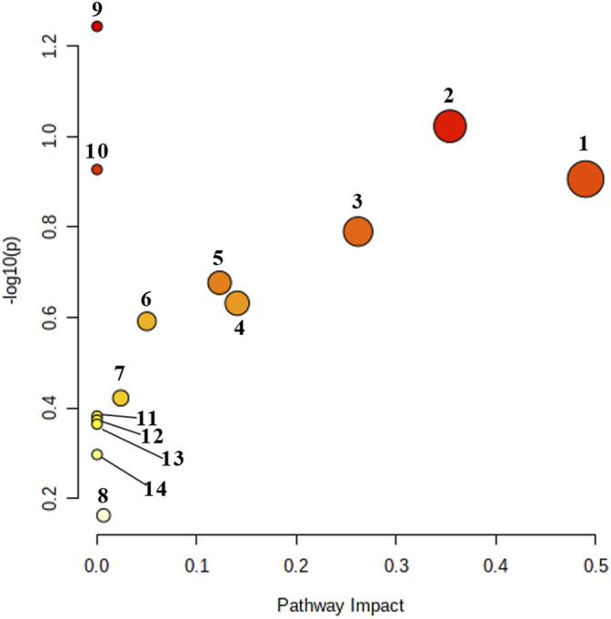 FIGURE 7