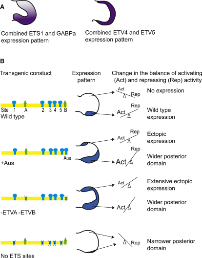 Figure 4