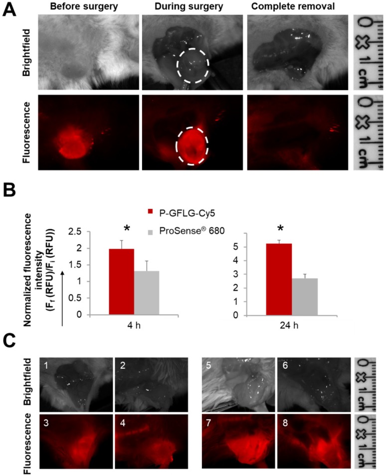 Figure 6