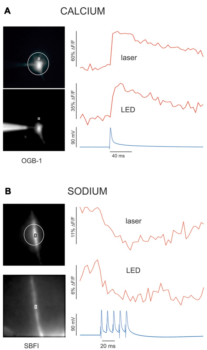 Figure 6