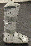 Fig 1.