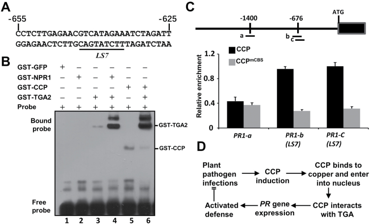 Fig. 6.