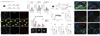 Extended Data Fig.10
