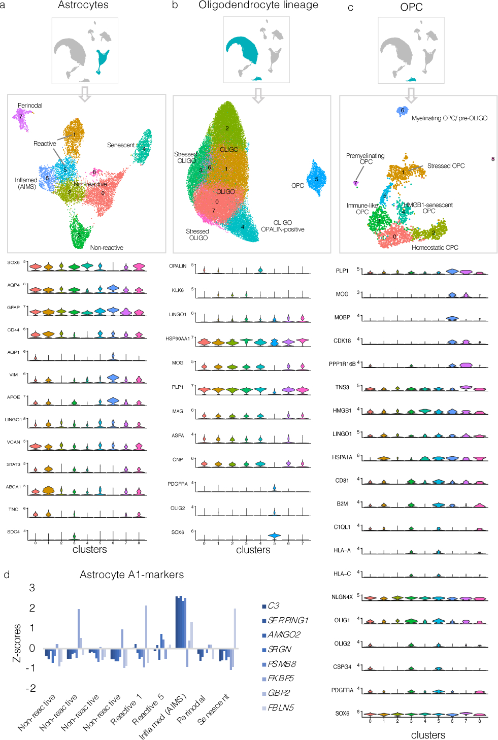 Extended Data Fig. 3.