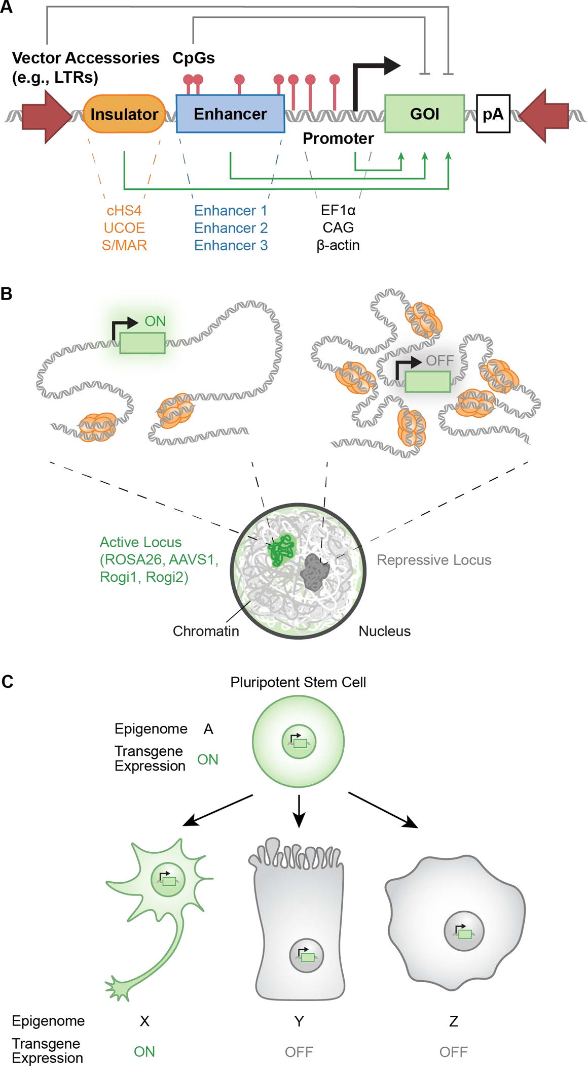 Figure 3.