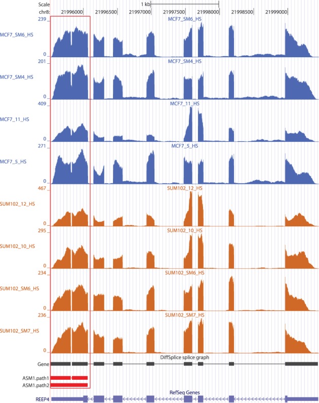 Figure 10.