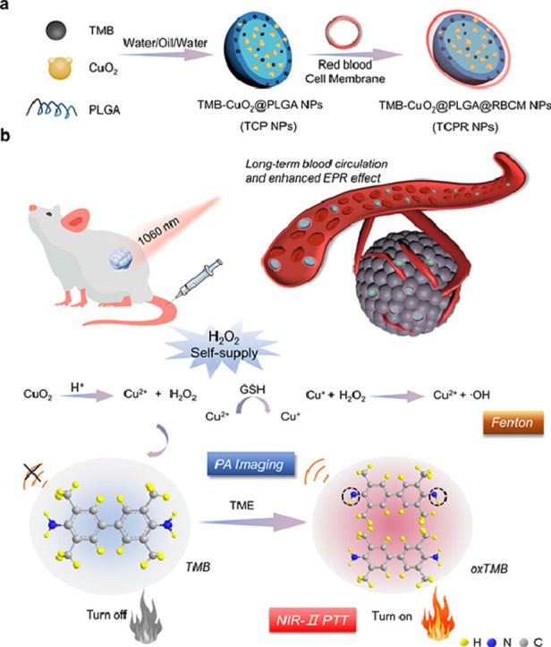 Image, graphical abstract