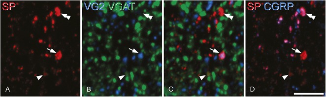 Figure 3.