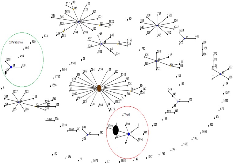 Fig 2