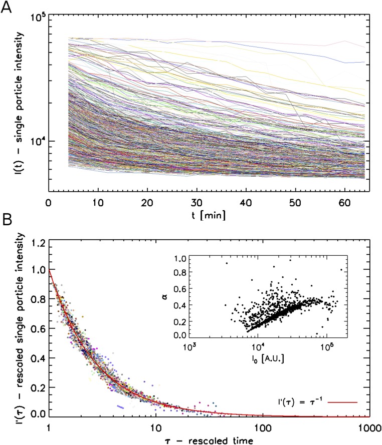 Fig. S6.