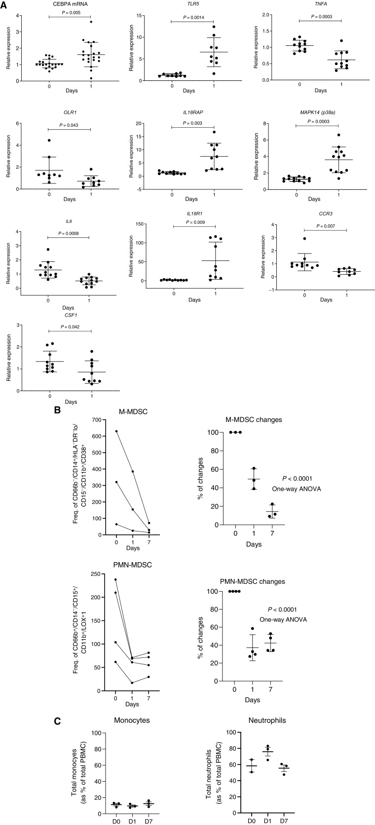 Figure 3. Changes in gene expression in total leukocytes in patients treated with MTL-CEBPA. A, Expression of indicated genes in leukocytes from 12 patients. Gene expression was evaluated by qRT-PCR. Individual results, mean, and standard deviation are shown. P values are calculated using two-sided Student t test. B, the presence of M-MDSCs (CD66b− CD14+ HLA-DR−/loCD15− CD11b+CD38+) and PMN-MDSCs (CD66b+CD14−CD15+CD11b+ LOX1+) among mononuclear cells was analyzed by flow cytometry and represented as frequency of gated cell population at 60K event per 1 × 106 cells (n = 3). C, Total circulating population of monocytes and neutrophils in the same patients was measured as a percentage of total PBMC.