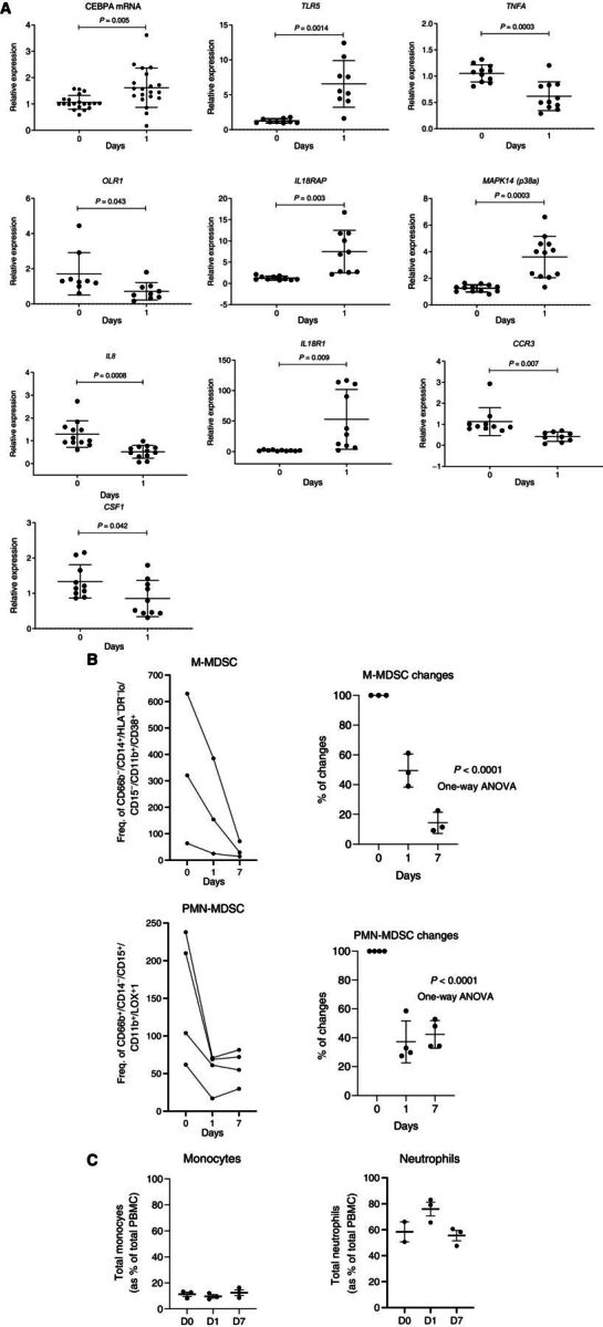 Figure 3. Changes in gene expression in total leukocytes in patients treated with MTL-CEBPA. A, Expression of indicated genes in leukocytes from 12 patients. Gene expression was evaluated by qRT-PCR. Individual results, mean, and standard deviation are shown. P values are calculated using two-sided Student t test. B, the presence of M-MDSCs (CD66b− CD14+ HLA-DR−/loCD15− CD11b+CD38+) and PMN-MDSCs (CD66b+CD14−CD15+CD11b+ LOX1+) among mononuclear cells was analyzed by flow cytometry and represented as frequency of gated cell population at 60K event per 1 × 106 cells (n = 3). C, Total circulating population of monocytes and neutrophils in the same patients was measured as a percentage of total PBMC.