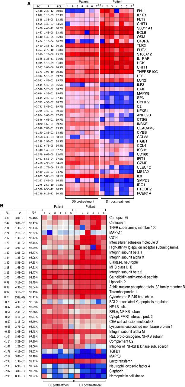 Figure 2. Effect of MTL-CEBPA treatment of patients with HCC on gene and protein expression in myeloid cells. A, Gene-expression profile was evaluated by NanoString using the human PanCaner IO 360 panel. Heat map of gene-expression upregulated (+1> log2 fold change and above) or downregulated (−1< log2 fold change and below) with a false discovery rate (FDR) of <5% is shown. B, Protein expression profile was evaluated by mass spectroscopy. Proteins with P < 0.05 and absolute log2 fold change > 1 were considered as significantly differentially expressed. Adjusted P values were calculated by correcting for an FDR of <5%.