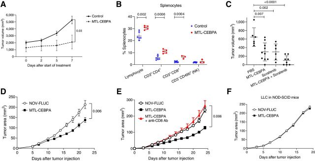 Figure 5. The effect of MTL-CEBPA on tumor growth in mouse tumor models. MTL-CEBPA and control NOV-FLUC were intravenously injected to the tumor-bearing mice at 3 mg/kg twice a week from day 5. A, Kinetic of tumor growth in mice bearing BNL HCC cell line (n = 5). P value was calculated using two-way ANOVA test. B, The presence of the indicated cell population in spleens of NBL tumor–bearing mice presented as percentages (%). C, Tumor volume in NBL tumor–bearing mice treated with MTL-CEBPA and sorafenib after 10 days of treatment. Mean and standard deviation are shown. n = 6 for PBS control- and sorafenib-treated groups, n = 10 for the MTL-CEBPA–treated group, n = 8 for the combination group. P values were calculated in one-way ANOVA test with corrections for multiple comparisons. D, Kinetics of LLC tumor growth (n = 5 per group). P value was calculated using two-way ANOVA test. E, Kinetics of LLC tumor growth in the mice depleted of CD8 T cells and treated with MTL-CEBPA (n = 5 per group). Mean and standard deviation are shown. P values were calculated using two-way ANOVA. F, Kinetics of tumor growth in NOD-SCID mice (n = 4 and 5 per group).