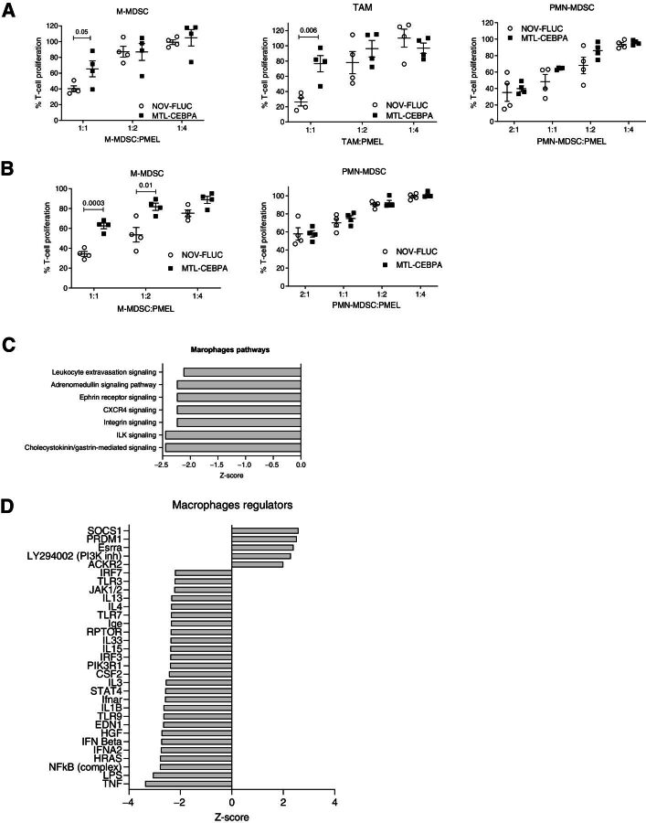 Figure 6. Effect of MTL-CEBPA treatment on immune-suppressive function of myeloid cells. A, Suppression of T-cell proliferation by M-MDSCs, macrophages, and PMN-MDSCs isolated from the tumors of the LLC tumor–bearing mice treated with NOV-FLUC or MTL-CEBPA for 2 weeks (n = 4). Mean and standard deviation are shown. P values were calculated using two-sided Student t test. B, Suppression of T-cell proliferation by M-MDSCs and PMN-MDSCs isolated from the spleens of the LLC tumor–bearing mice treated with NOV-FLUC or MTL-CEBPA for 2 weeks (n = 4). Mean and standard deviation are shown. P values were calculated using a two-sided Student t test. C and D, TAMs and PMN-MDSCs were isolated from the tumors of LLC tumor–bearing mice treated with NOV-FLUC or MTL-CEBPA for 2 weeks and used for RNA-seq analysis. C, Pathways predicted to be inhibited (z-score < −2) in TAMs in MTL-CEBPA as compared with NOV-FLUC–treated groups. D, Regulators predicted to be activated (z-score > 2) or inhibited (z-score < −2) in TAMs in MTL-CEBPA as compared with NOV-FLUC–treated group.