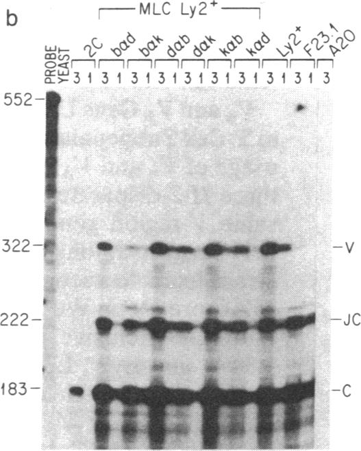 graphic file with name pnas00315-0431-a.jpg