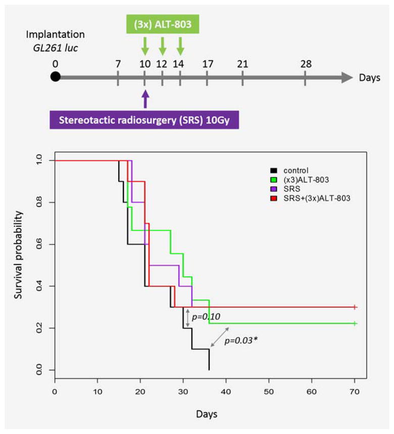 Therapeutic administration of IL-15 superagonist complex ALT-803 leads ...