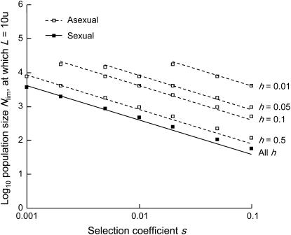 Figure 5.—