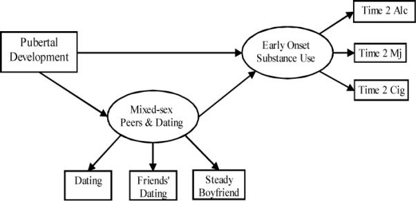 Figure 1b