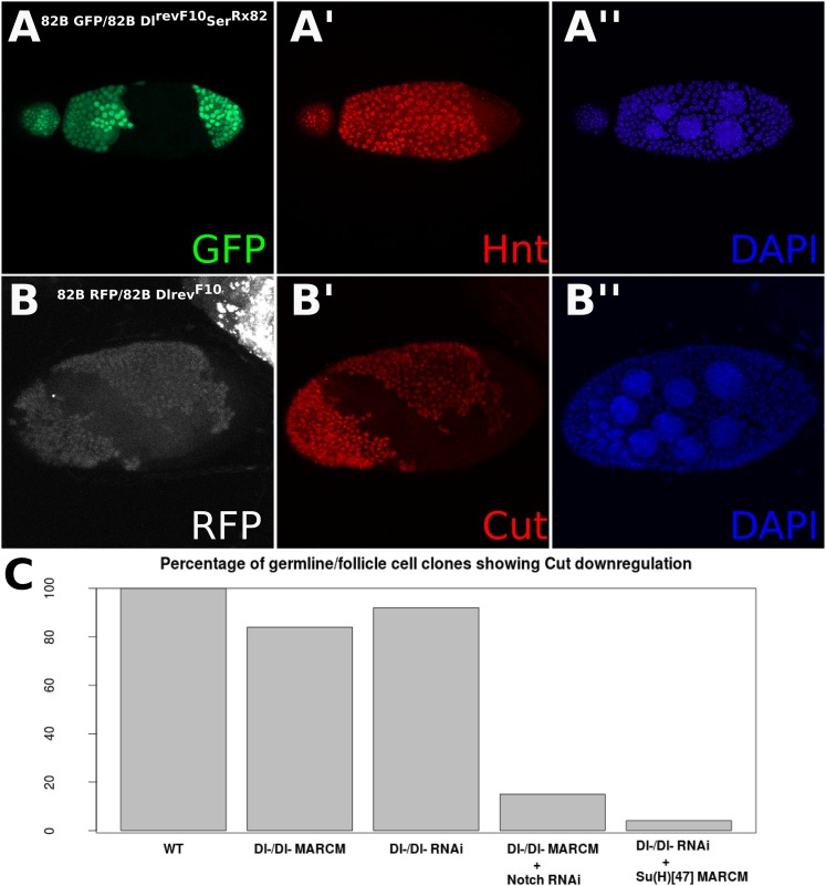 Figure 1—figure supplement 2.