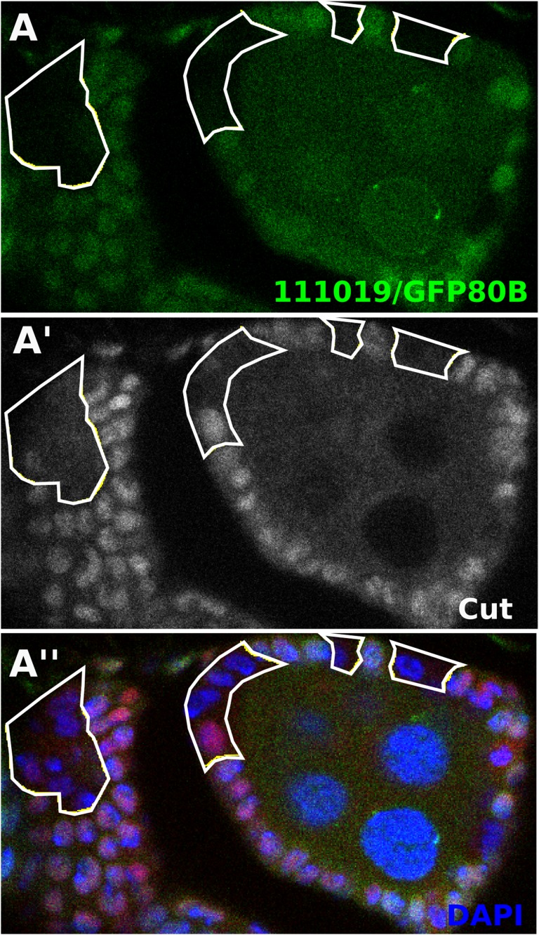 Figure 3—figure supplement 3.