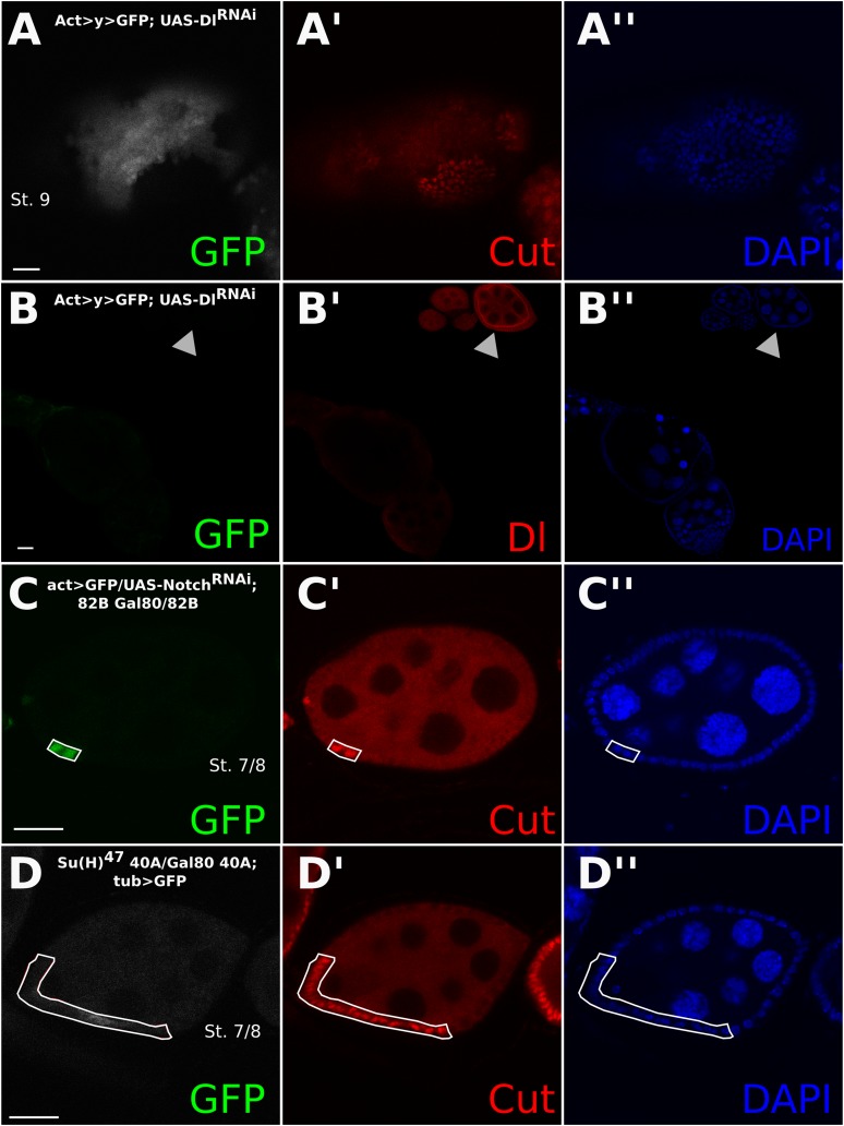 Figure 2—figure supplement 1.