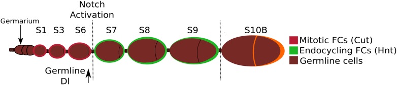 Figure 1—figure supplement 1.