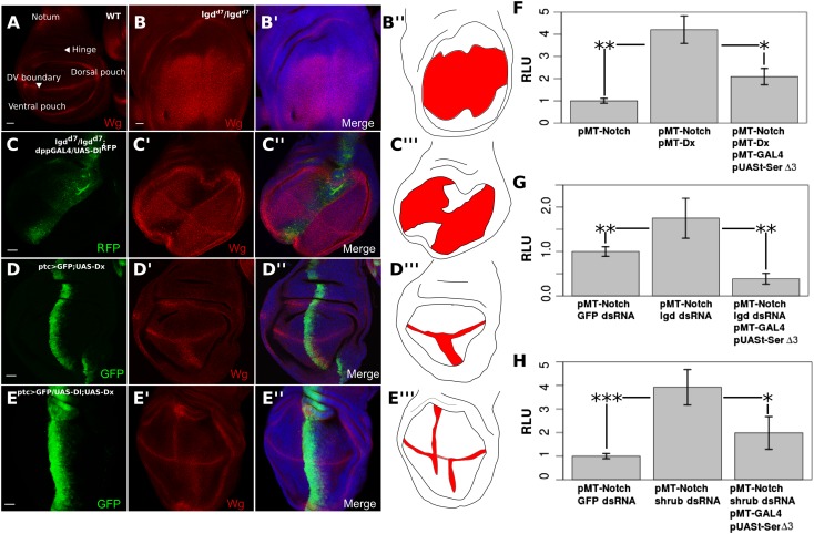 Figure 4.