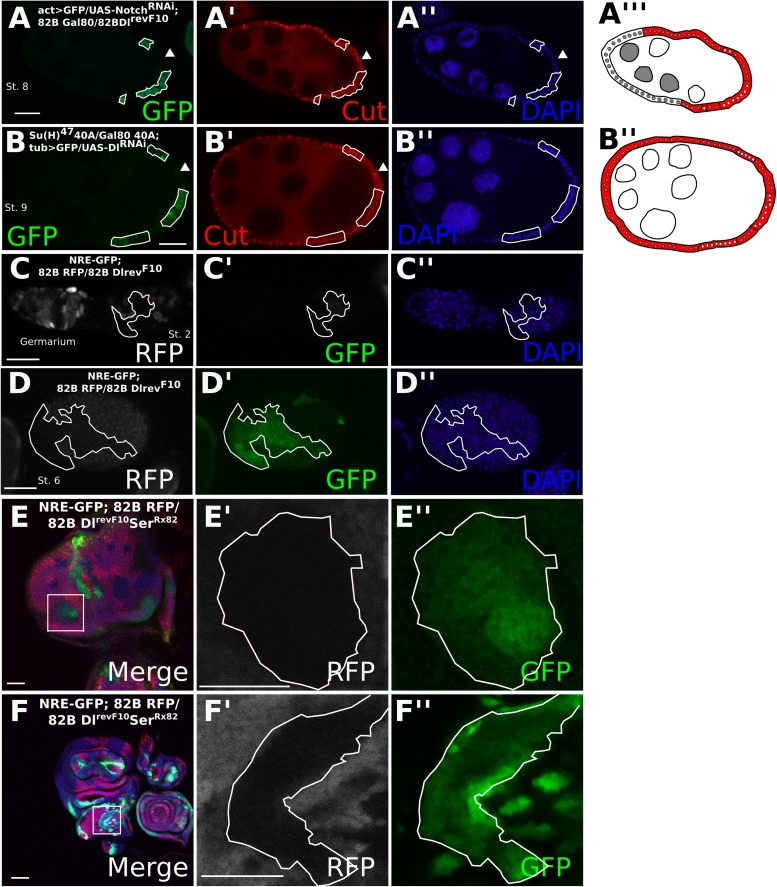 Figure 2.