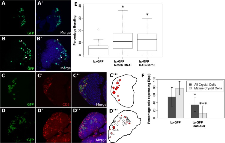 Figure 4—figure supplement 2.