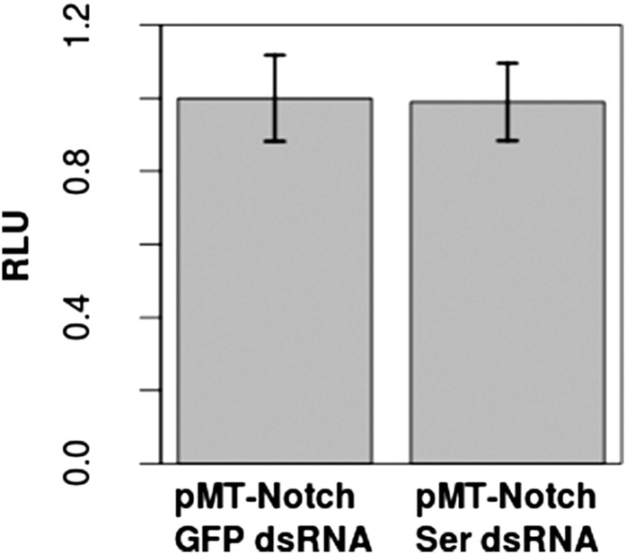 Figure 3—figure supplement 1.