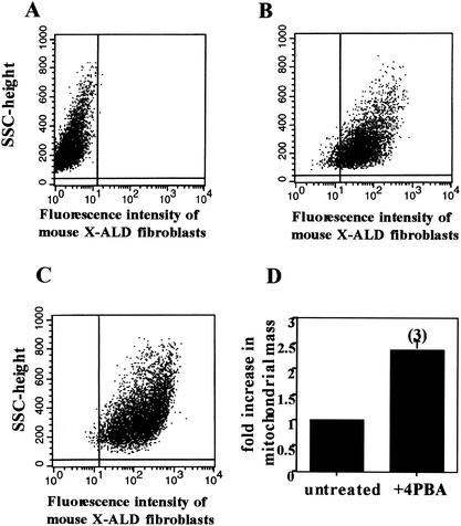 FIG. 8.