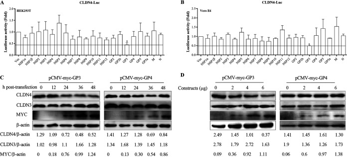 FIG 6