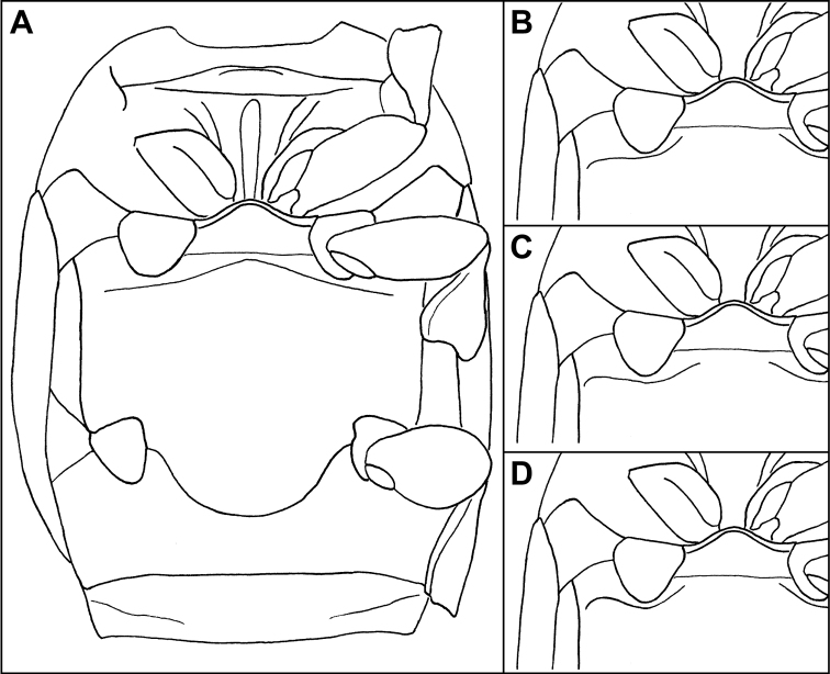 Figure 4.