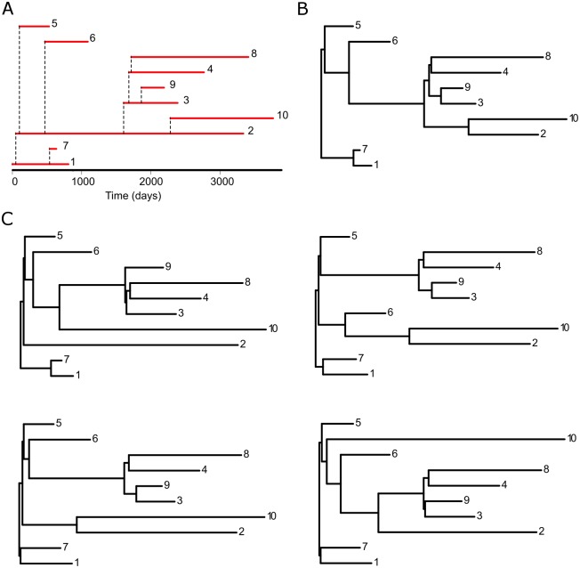 Fig 2