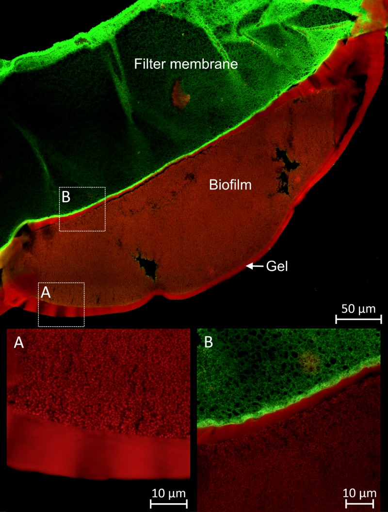 FIG 5