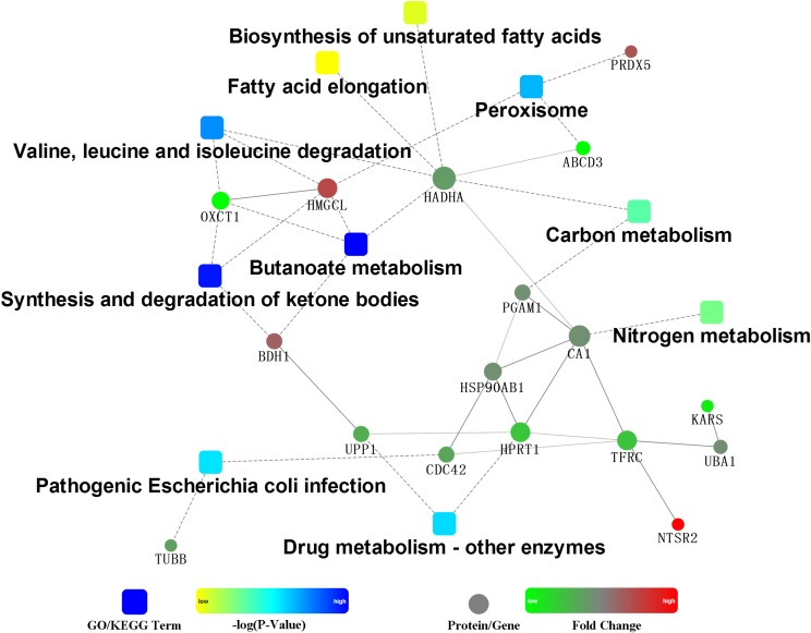 FIGURE 3