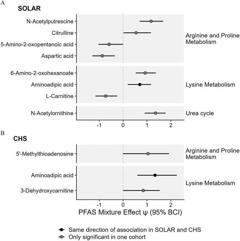 Figure 4A is a coefficient plot titled Study of Latino Adolescents at Risk, plotting Urea cycle, including N-acetylornithine; Lysine metabolism, including L-Carnitine, Aminoadipic acid, 6-Amino-2-oxohexanoate; and Arginine and proline metabolism, including Aspartic acid, 5-Amino-2-oxopentanoic acid, Citrulline, and N-Acetylputrescine (y-axis) across Per- and polyfluoroalkyl substances mixture effect uppercase psi (95 percent Bayesian credible interval), ranging from negative 1 to 2 in unit increments (x-axis) for Same direction of association in Study of Latino Adolescents at Risk and Children’s Health Study and Only significant in one cohort. Figure 4B is a coefficient plot titled Children’s Health Study, plotting Lysine metabolism, including 3-Dehydroxycarnitine and Aminoadipic acid; and Arginine and proline metabolism, including 5 prime-Methylthioadenosine (y-axis) across Per- and polyfluoroalkyl substances mixture effect uppercase psi (95 percent Bayesian credible interval), ranging from negative 1 to 2 in unit increments (x-axis) for Same direction of association in Study of Latino Adolescents at Risk and Children’s Health Study and Only significant in one cohort.