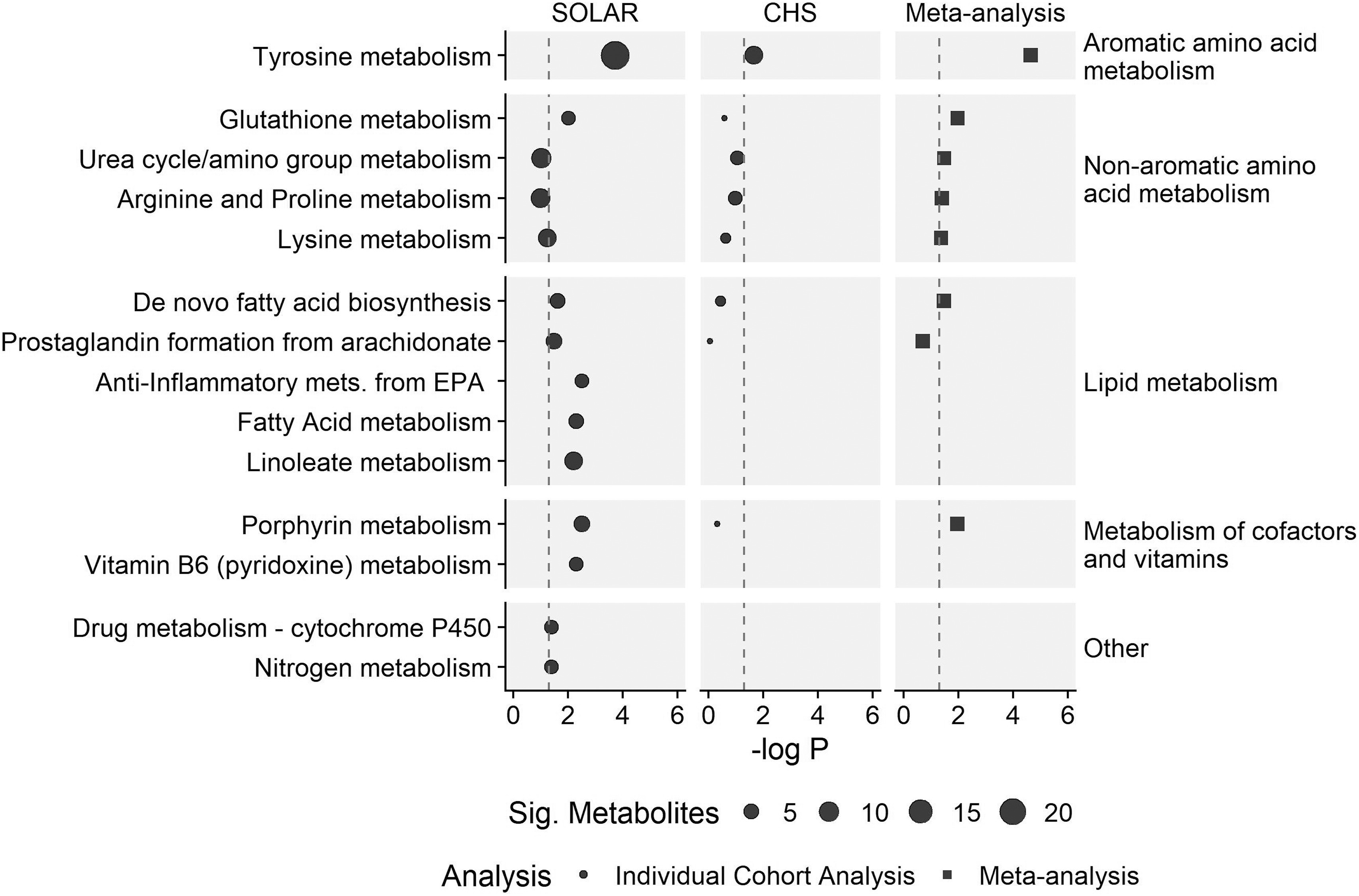 Figure is a dot graph with three columns titled Study of Latino Adolescents at Risk, Children’s Health Study, and Meta-analysis. There are five groups of pathways, named Other, which includes Nitrogen metabolism and Drug metabolism-cytochrome P 450; Metabolism of cofactors and vitamins, including Vitamin B6 (pyridoxine) metabolism and Porphyrin metabolism; Lipid metabolism, including Linoleate metabolism, Fatty acid metabolism, anti-inflammatory metabolism from Eicosapentaenoic acid, Prostaglandin formation from Arachidonate, and De novo fatty acid biosynthesis; Nonaromatic amino acid metabolism, including Lysine metabolism, Arginine and Proline metabolism, Urea cycle or amino group metabolism, and Glutathione metabolism; and Aromatic amino acid metabolism, including Tyrosine metabolism (y-axis) across negative log uppercase p, ranging from 0 to 6 in increments of 2 (x-axis) for analysis, individual cohort analysis, and meta-analysis, respectively.