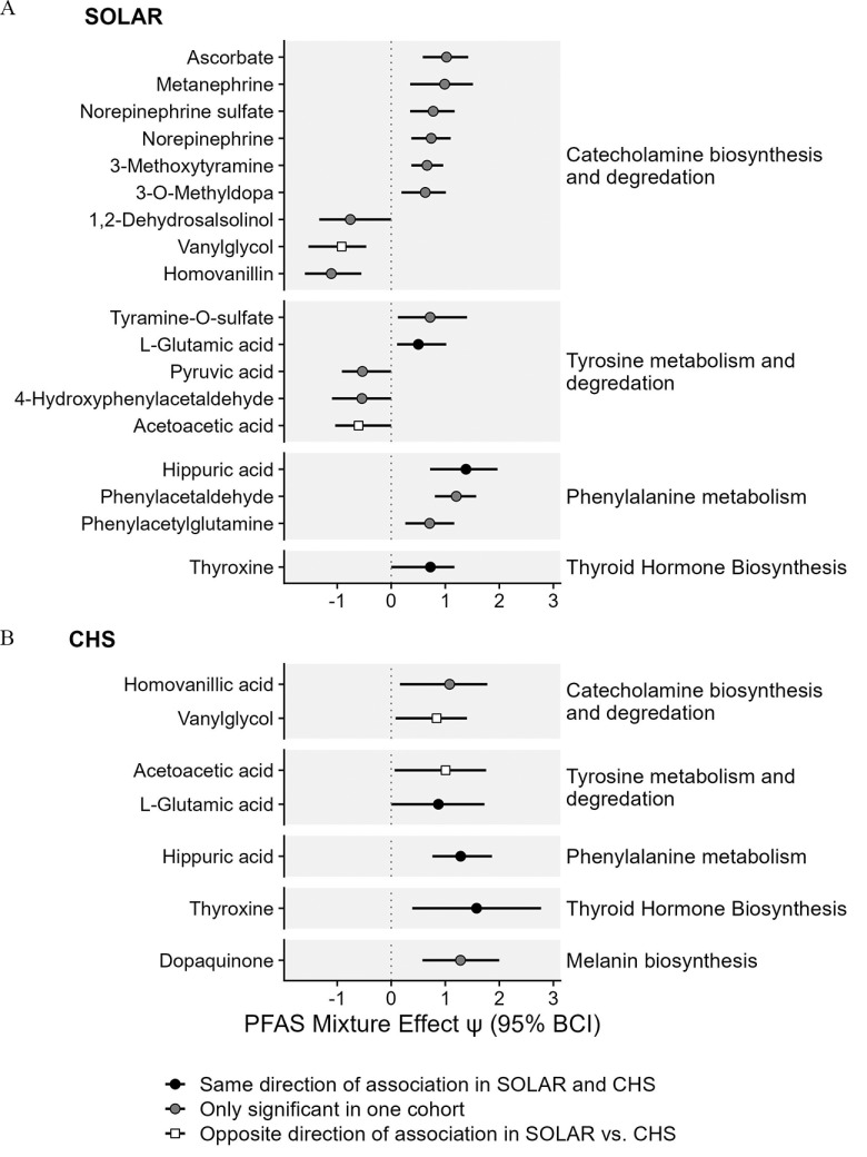 Figure 2A is a coefficient plot titled Study of Latino Adolescents at Risk, plotting Thyroid hormone biosynthesis, including Thyroxine; Phenylalanine metabolism, including Phenylacetylglutamine, Phenylacetaldehyde, and Hippuric acid; Tyrosine metabolism and degradation, including Acetoacetic acid, 4-Hydroxyphenylacetaldehyde, Pyruvic acid, L-Glutamic acid, and Tyramine-O-sulfate; Catecholamine biosynthesis and degradation, including Homovanillin, Vanylglycol, 1,2-Dehydrosalsolinol, 3-O-Methyldopa, 3-Methoxytyramine, Norepinephrine, Norepinephrine sulfate, Metanephrine, and ascorbate (y-axis) across Per- and polyfluoroalkyl substances mixture effect uppercase psi (95 percent Bayesian credible interval), ranging from negative 1 to 3 in unit increments (x-axis) for Same direction of association in Study of Latino Adolescents at Risk and Children’s Health Study, Only significant in one cohort, and Opposite direction of association in Study of Latino Adolescents at Risk versus Children’s Health Study. Figure 2B is a coefficient plot titled Children’s Health Study, plotting Melanin biosynthesis, including Dopaquinone; Thyroid hormone biosynthesis, including Thyroxine; Phenylalnine metabolism, including Hippuric acid; Tyrosine metabolism and degradation, including L-Glutamic acid and Acetoacetic acid; and Catecholamine biosynthesis and degradation, including Vanylglycol and Homovanillic acid (y-axis) across Per- and polyfluoroalkyl substances mixture effect uppercase psi (95 percent Bayesian credible interval), ranging from negative 1 to 3 in unit increments (x-axis) for Same direction of association in Study of Latino Adolescents at Risk and Children’s Health Study, Only significant in one cohort, and Opposite direction of association in Study of Latino Adolescents at Risk versus Children’s Health Study.