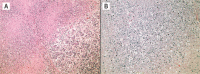 Image 9: