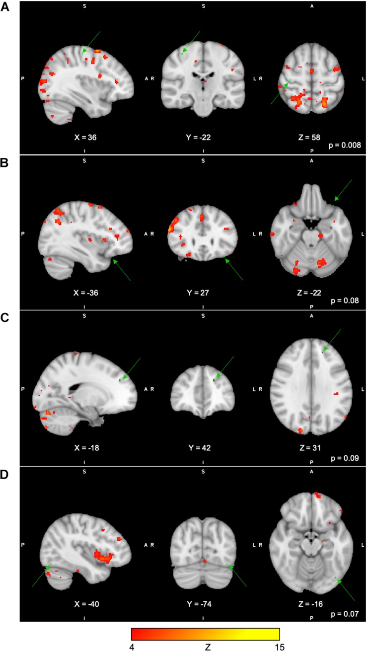 FIGURE 3