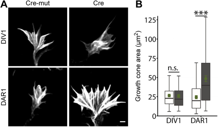 Figure 6.