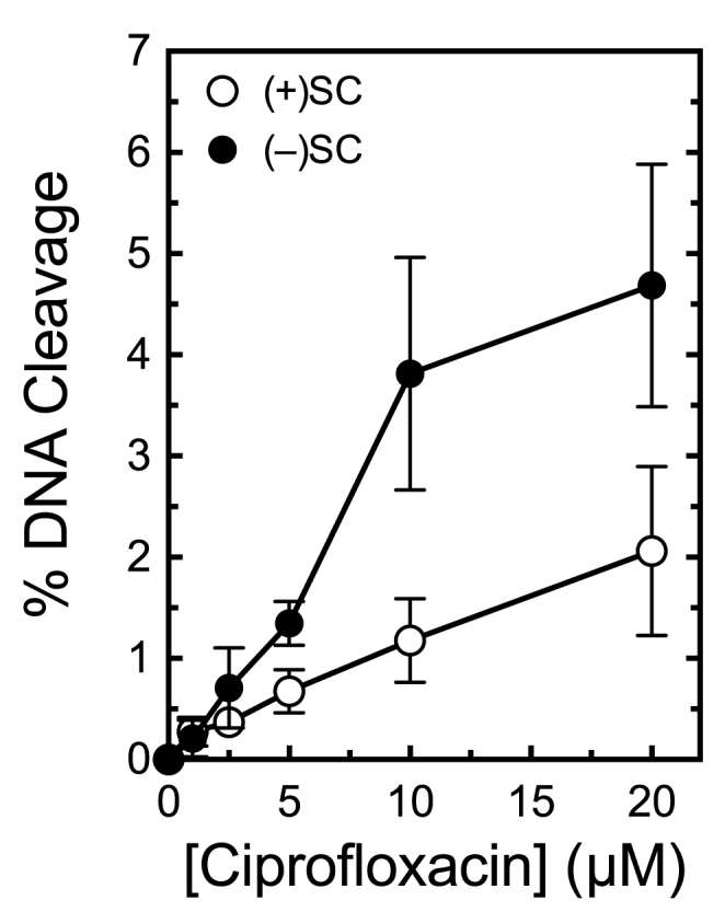 Figure 11.