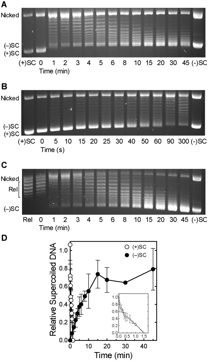 Figure 2.