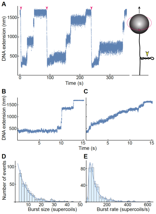 Figure 6.