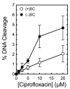Figure 11.