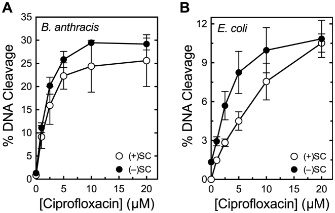 Figure 12.