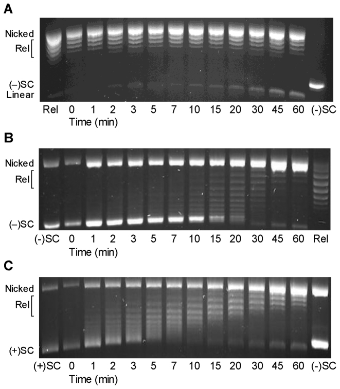 Figure 7.