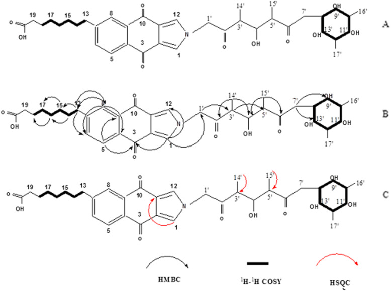 Fig. 2